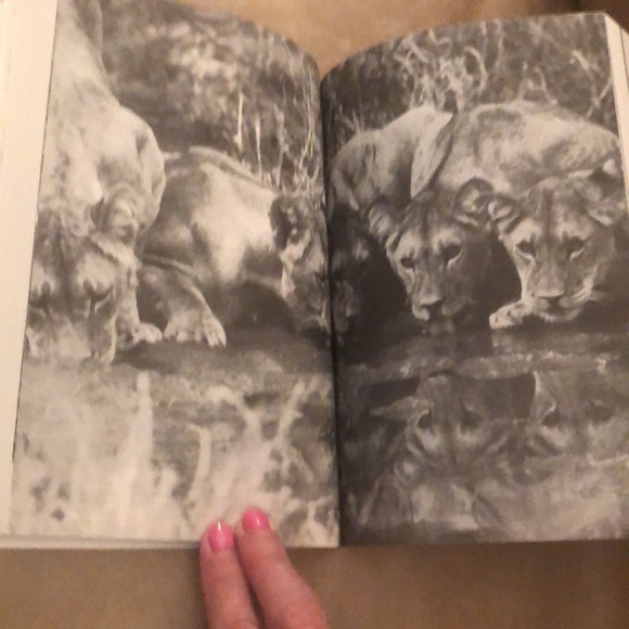 CRY OF THE KALAHARI & THE EYE OF THE ELEPHANT • BUNDLE 2 SOFTCOVER BOOKS - Picture 12 of 17